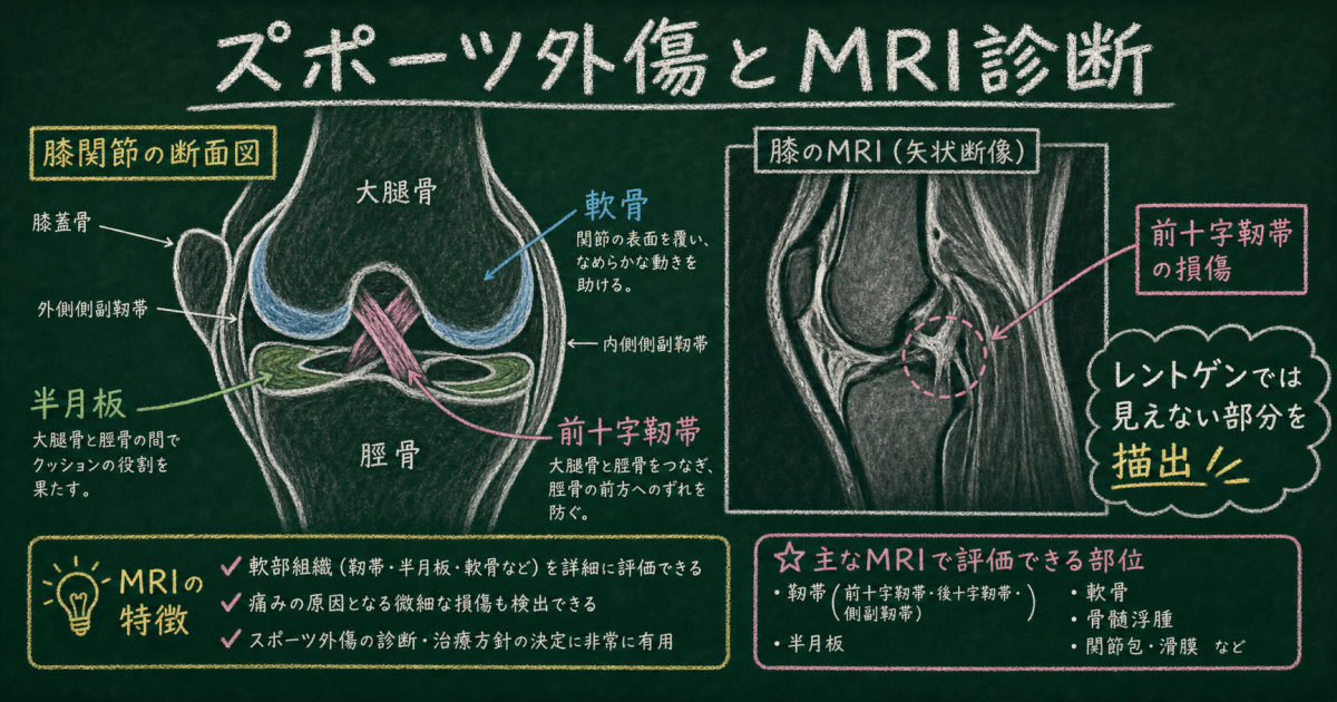 閉所恐怖症でも怖くない!オープン型MRIの構造と開放感の秘密